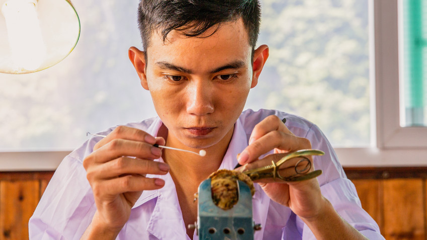 Heritage Line Violet Cruise: Explore the Pearl Farm