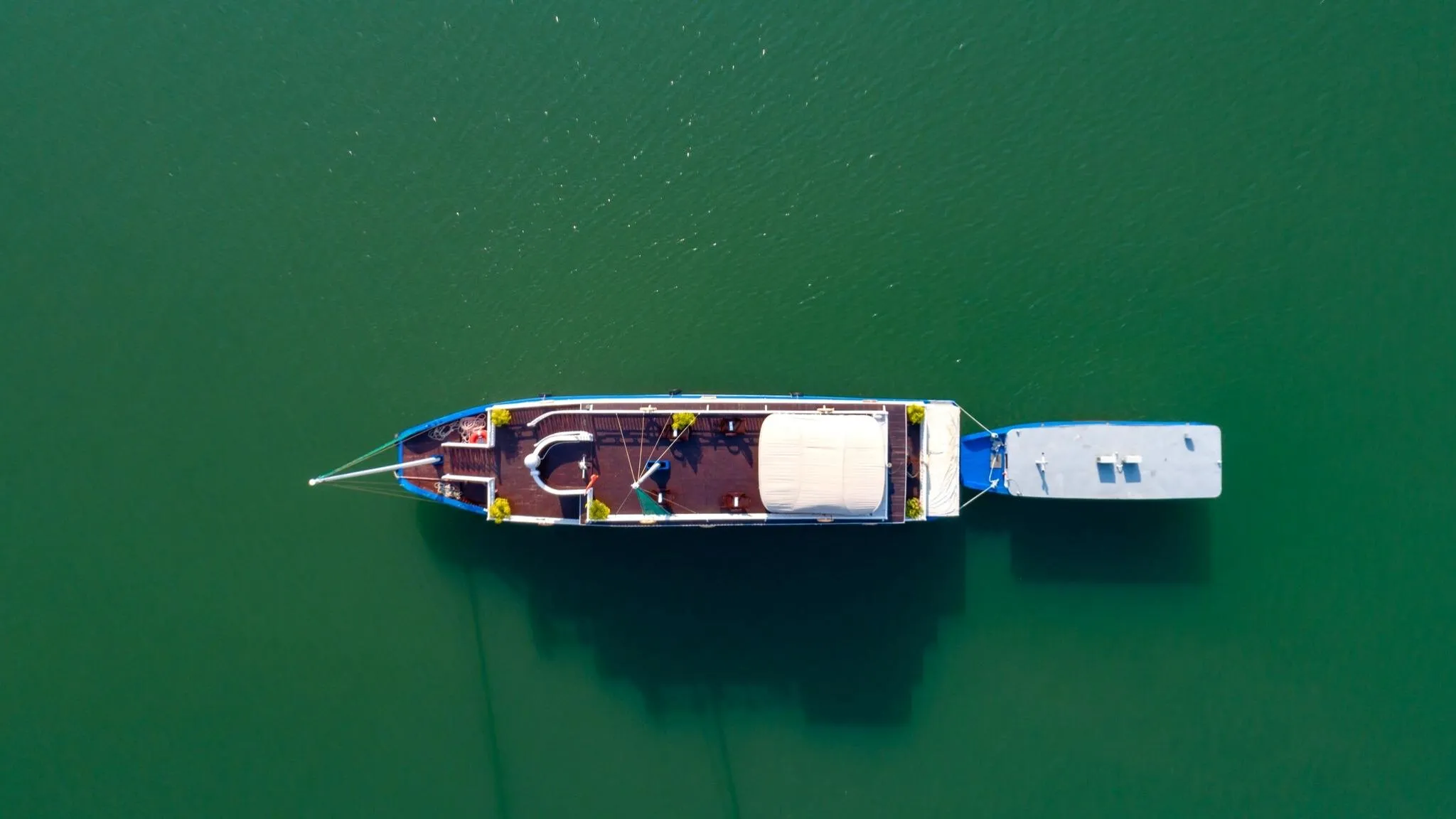 Cruise from high position