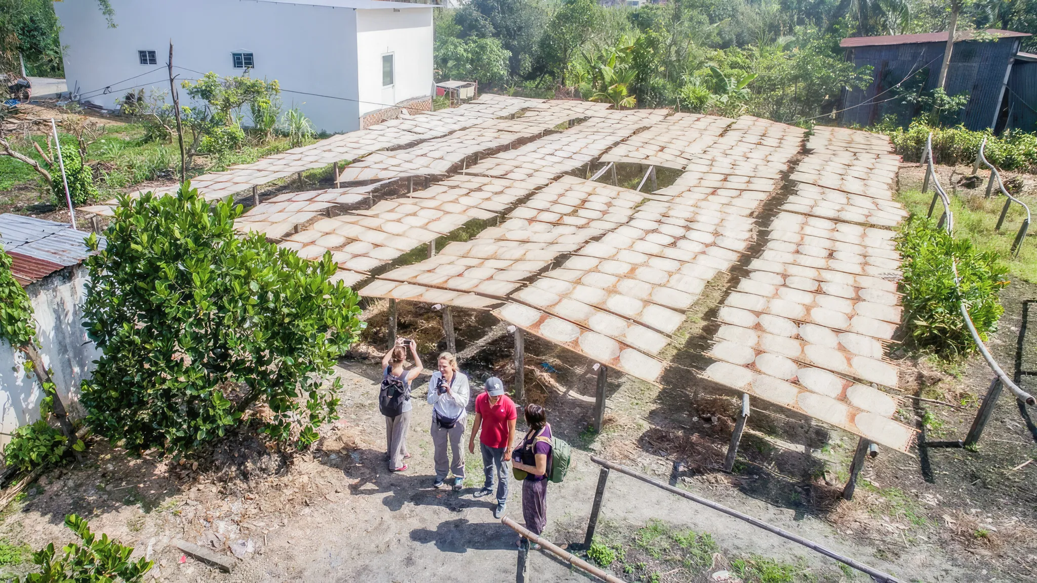 Taking picture of Rice paper production
