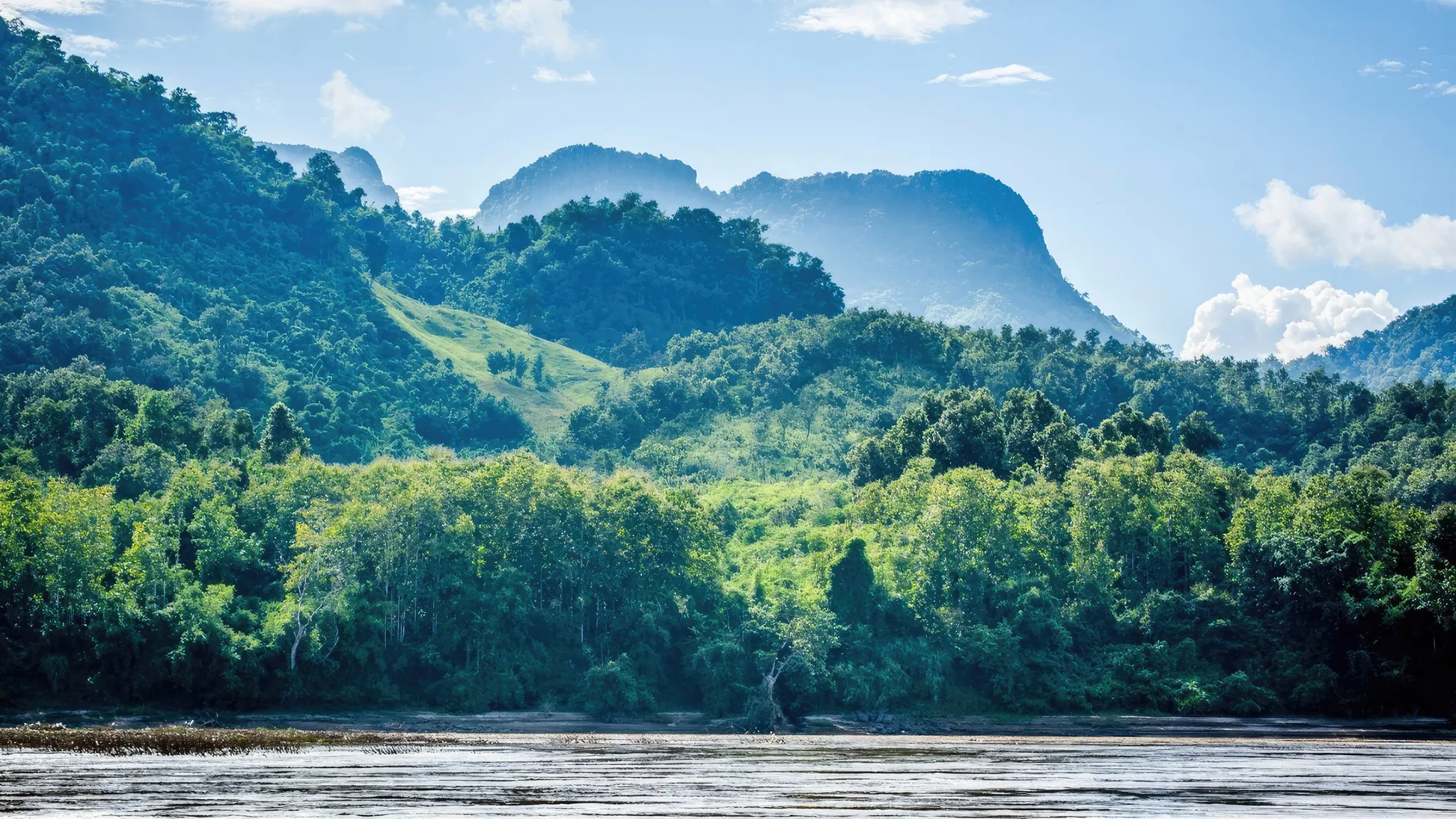 Natural beauty of the Mekong Delta