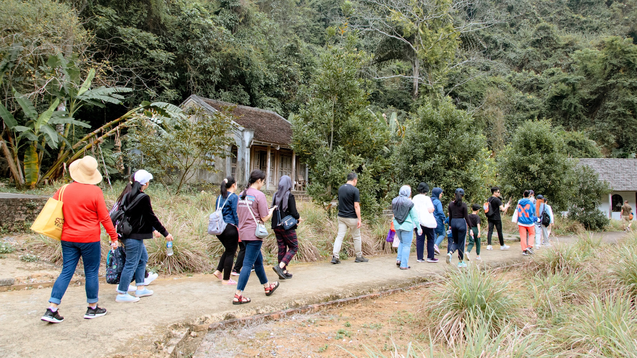 Explore the Tranquil Viet Hai Village and visit ancient houses