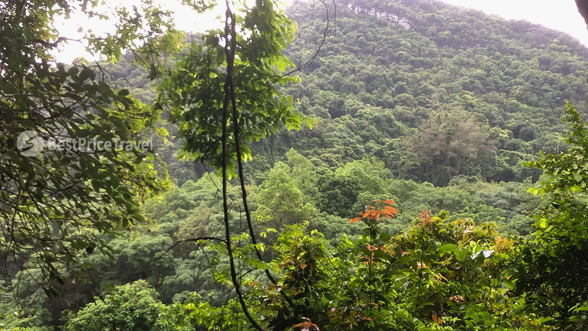 The spectacular view outside Trung Trang Cave