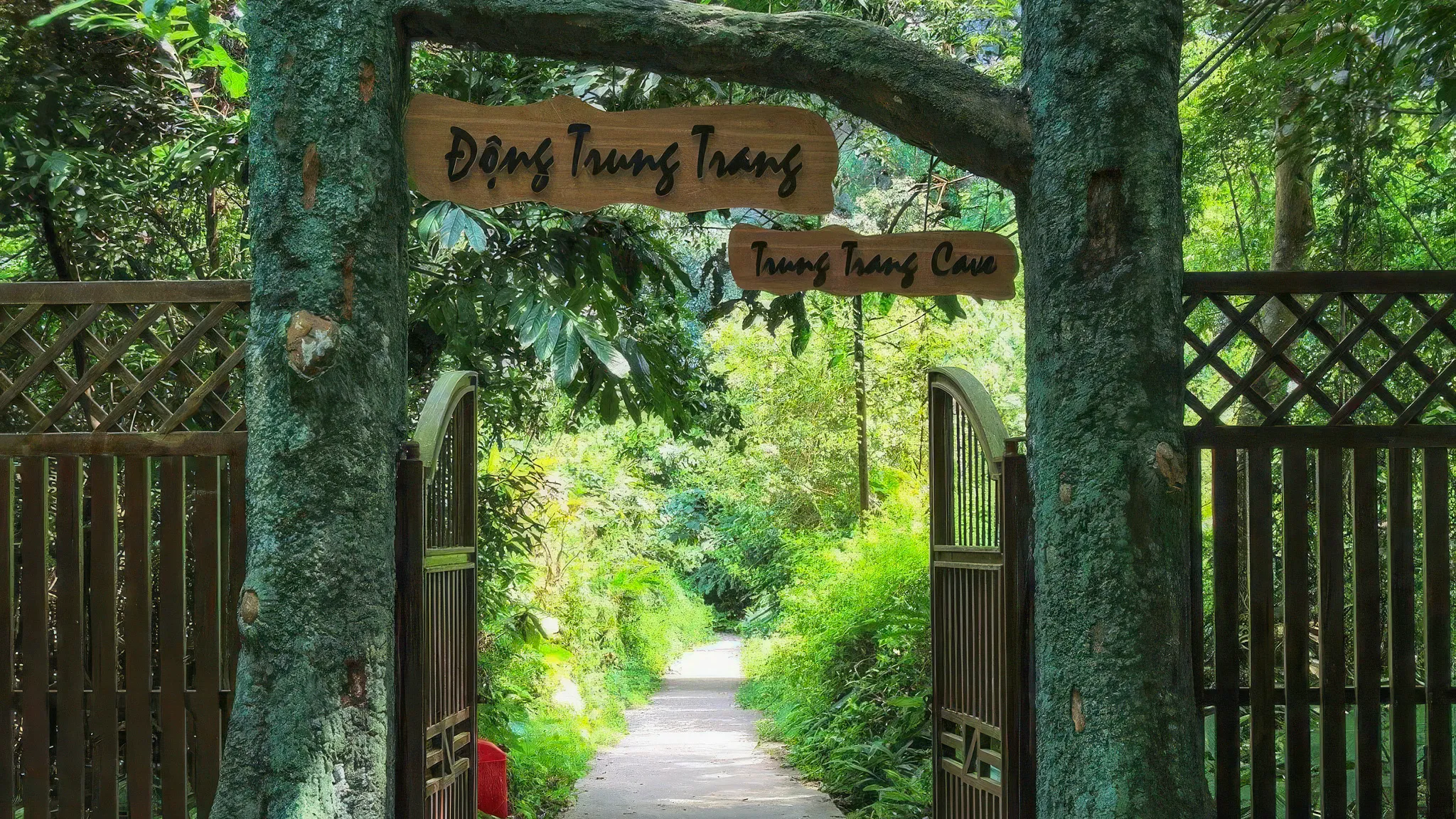 Entrance gate with lush trees