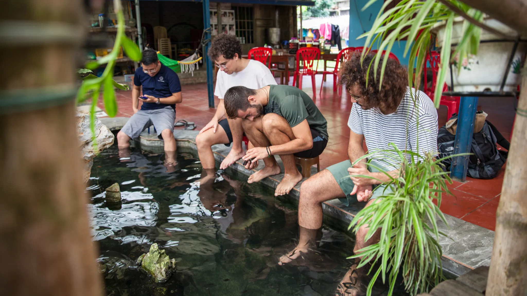 Enjoy Fish Foot Massage