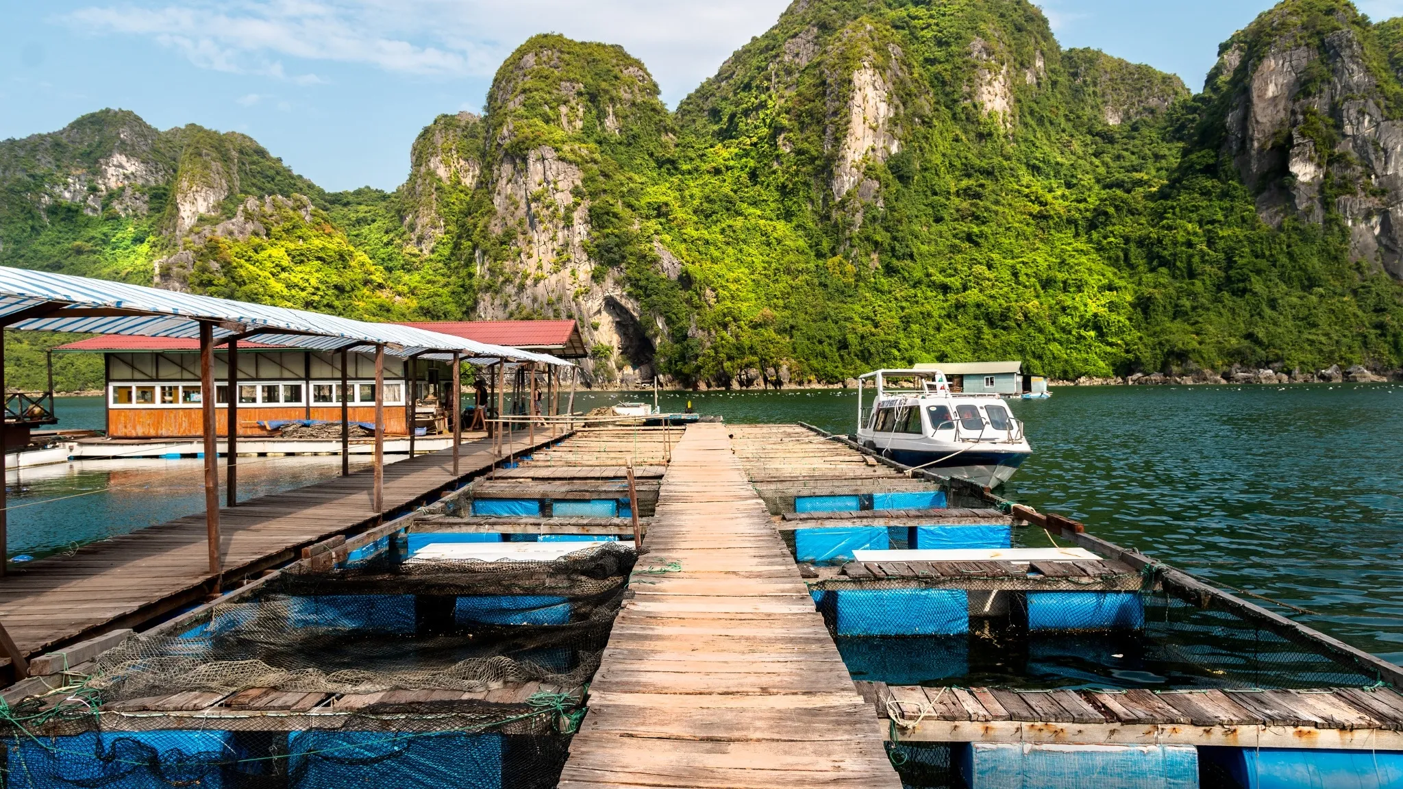 Tung Sau Pearl Farm