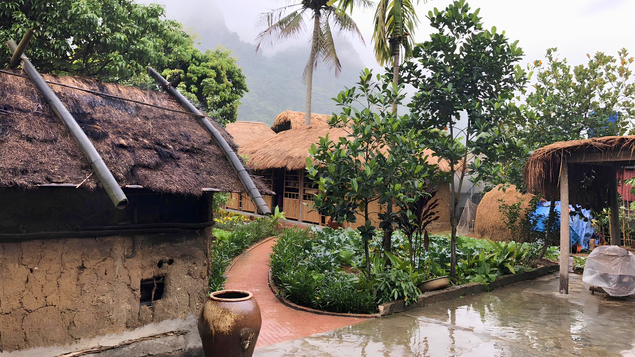 Viet Hai Village, well-known for its peaceful ambiance and unspoiled nature