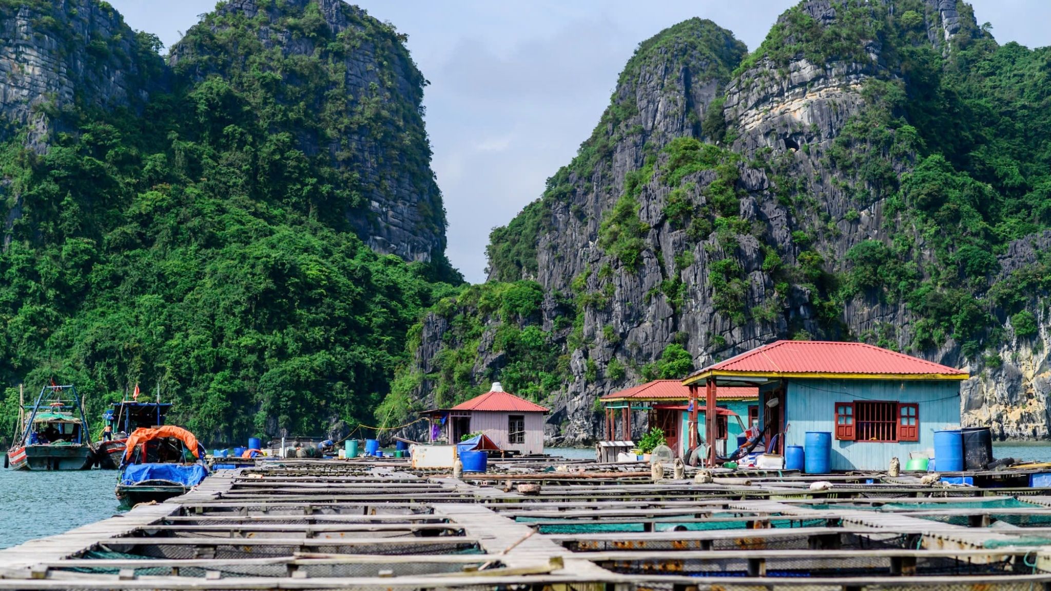 The trip to Vung Vieng village gives you a unique insight into life on the water.