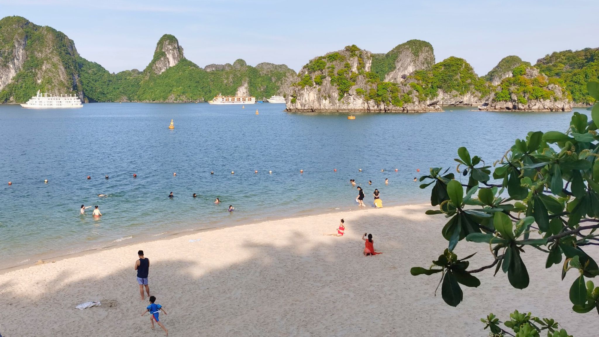 Enjoy the bay's beauty from the white sandy beach of Titop Island