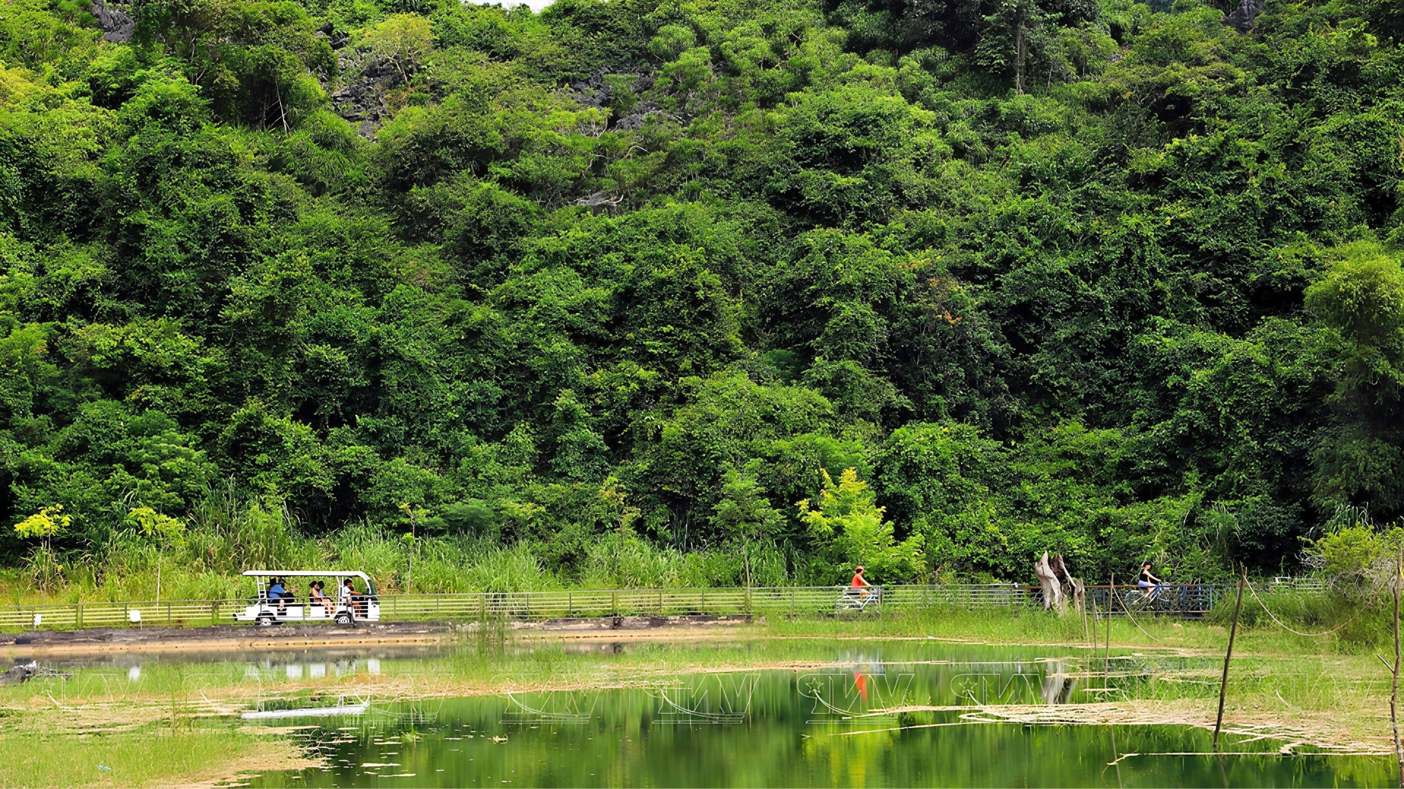 Immerse yourself in the peaceful nature of Viet Hai Village
