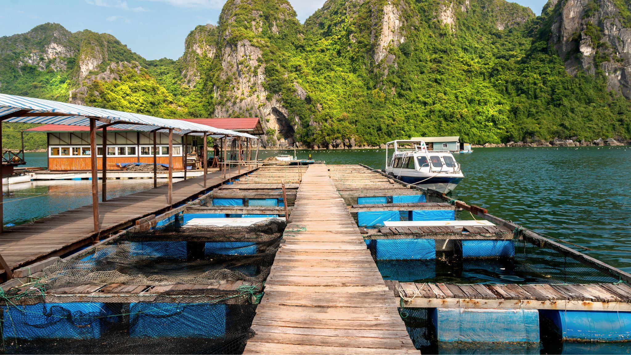 The Pearl Farm is nestled within a tranquil lagoon in Halong Bay.