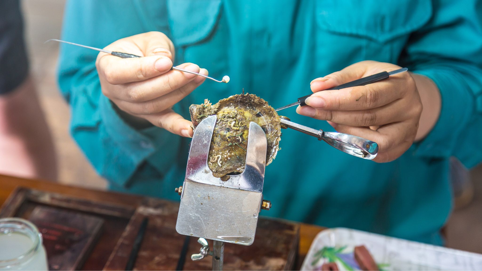 The Pearl Farm excursion provides a fascinating glimpse into Vietnamese pearl production