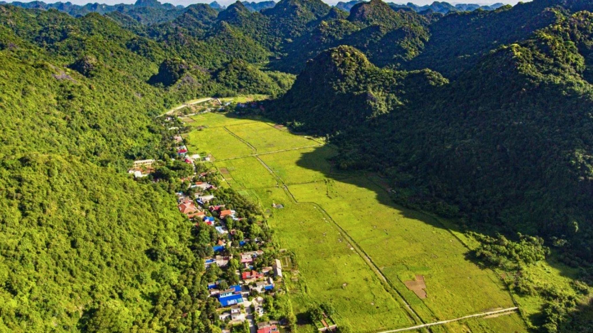 Viet Hai is nestled within the lush, evergreen landscapes of Cat Ba National Park.