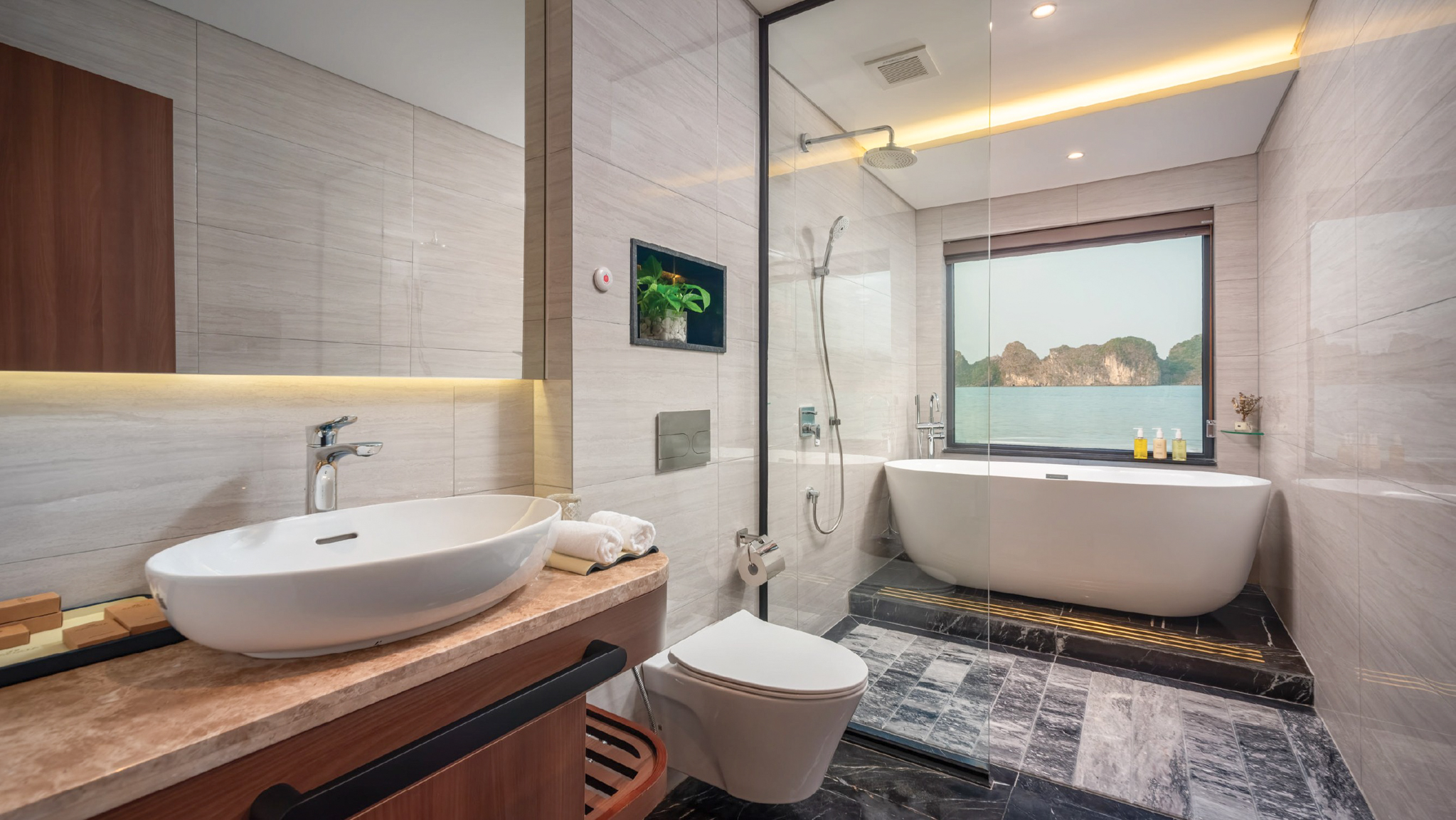 Ocean-view Bathtub