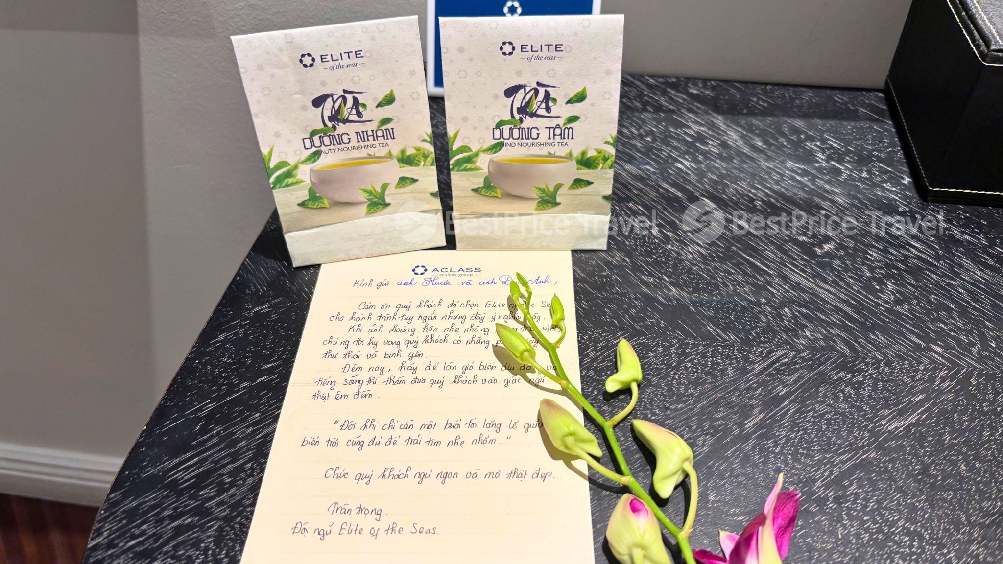 Handwritten Thank You Note from Elite of the Seas team