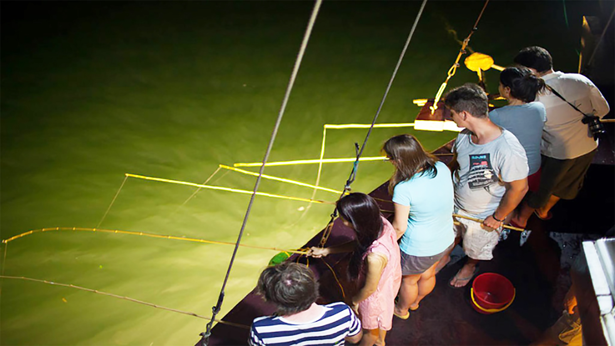 Stay calm and try your luck with squid fishing at night