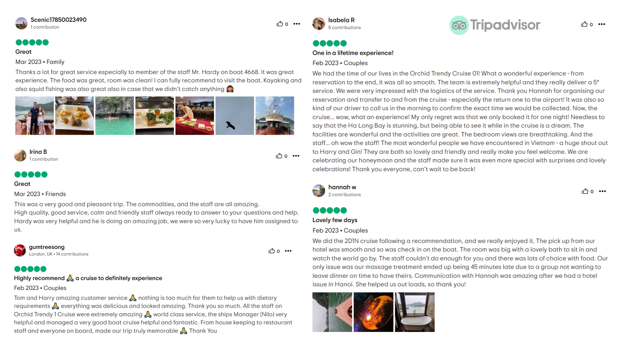 Orchid Trendy Tripadvisor Review