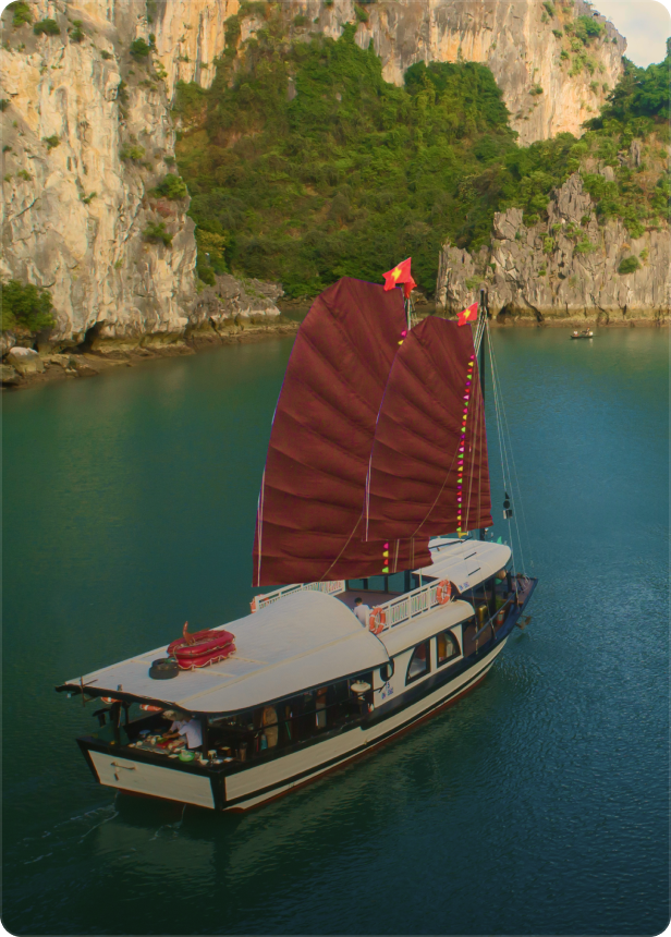 Private Cruises
