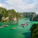Halong Bay tours