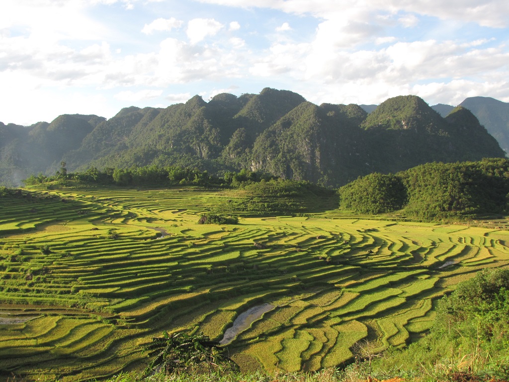 Terraced Field in Phu Luong