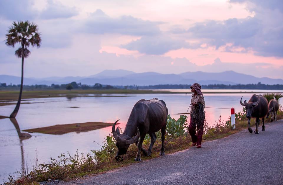 The countryside in Takeo