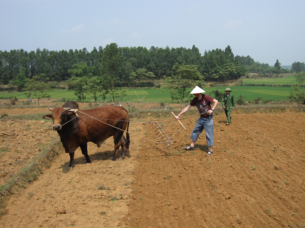 Farming in Ky Son Village