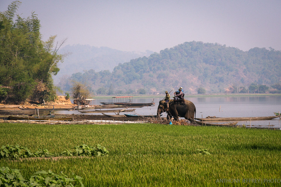 Morning Stroll Lak Lake