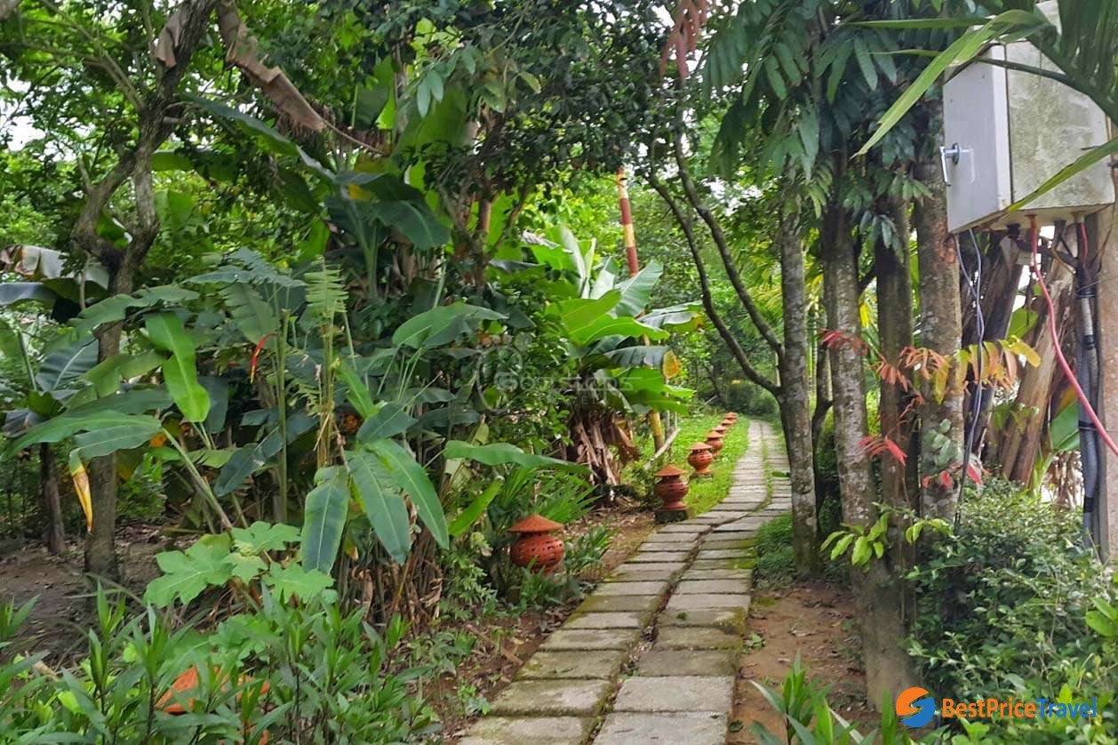 Eco tour at Thuy Bieu Village