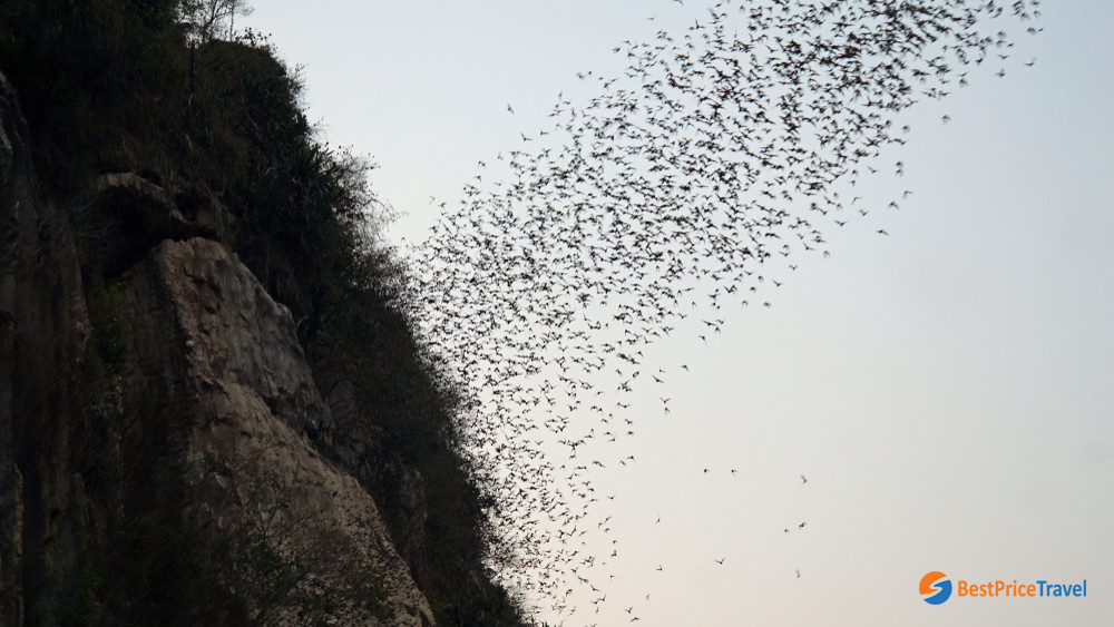 Battambang Bat Cave In The Afternoon
