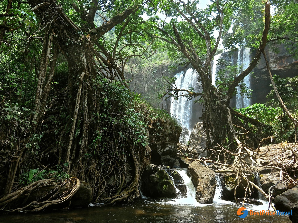 Bolaven Plateau in Champasak