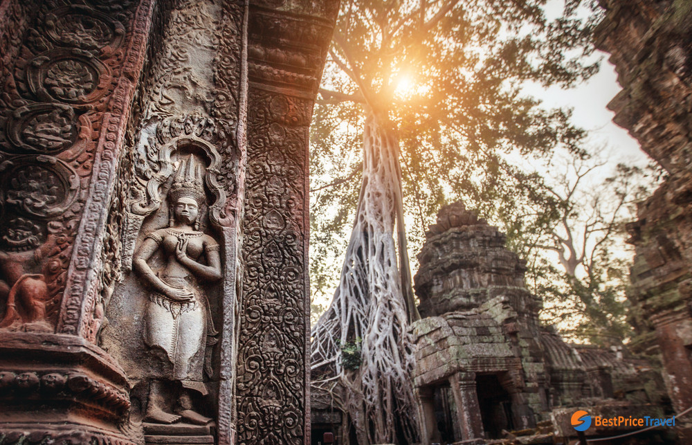 Amazing trees and carvings in sunshine in Taphrom