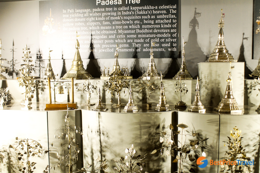 Padesa Tree in Potaaung Pagoda