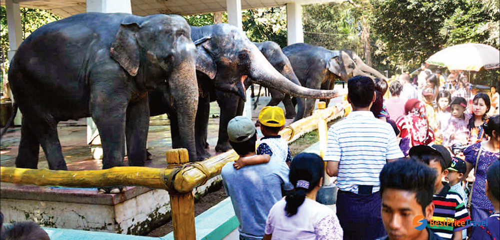 Yangon Zoological Gardens