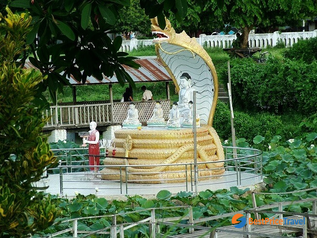 The lotus pond with a snake-shape base