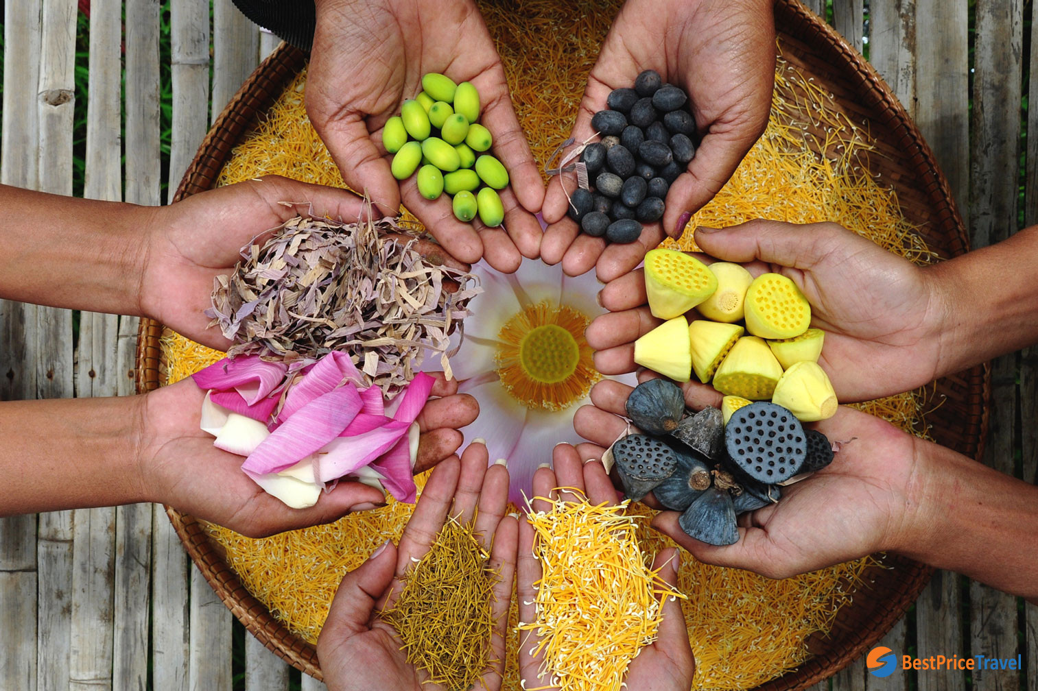 Lotus products in workshop