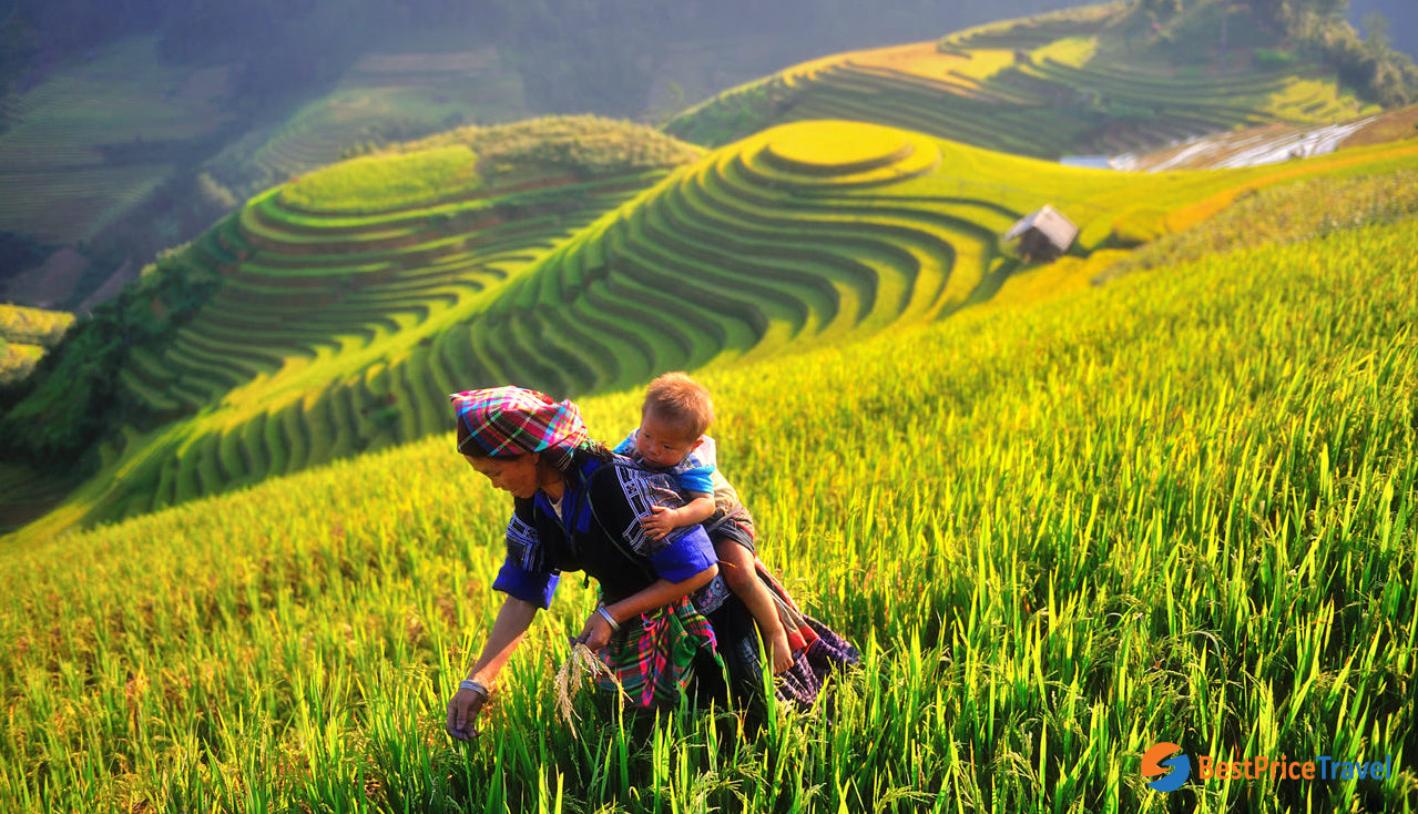 Mong People In Mu Cang Chai