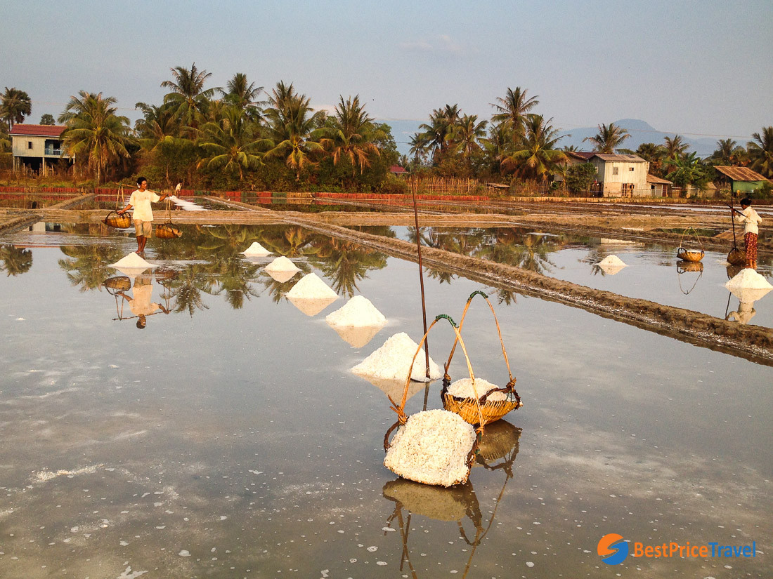Salt fields in Kampot