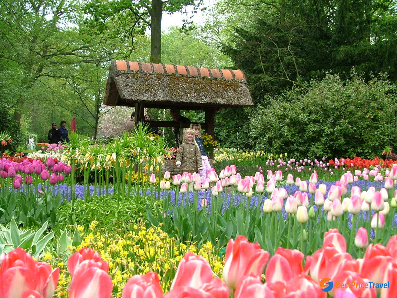 Tulip Garden