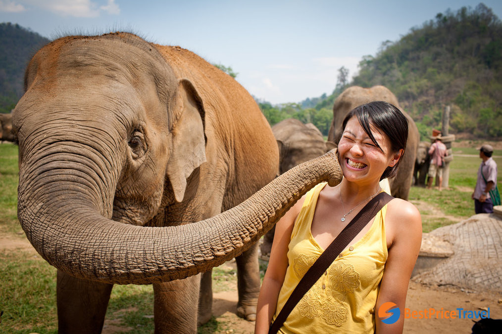 Volunteers at Elephant Rescue Park