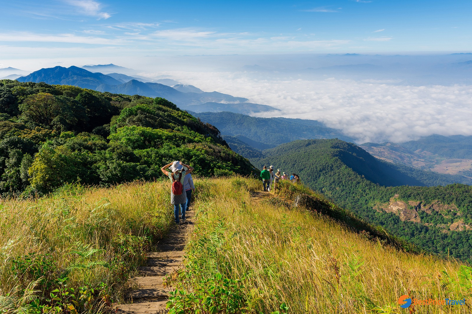 Trekking route at Doi Inthanon