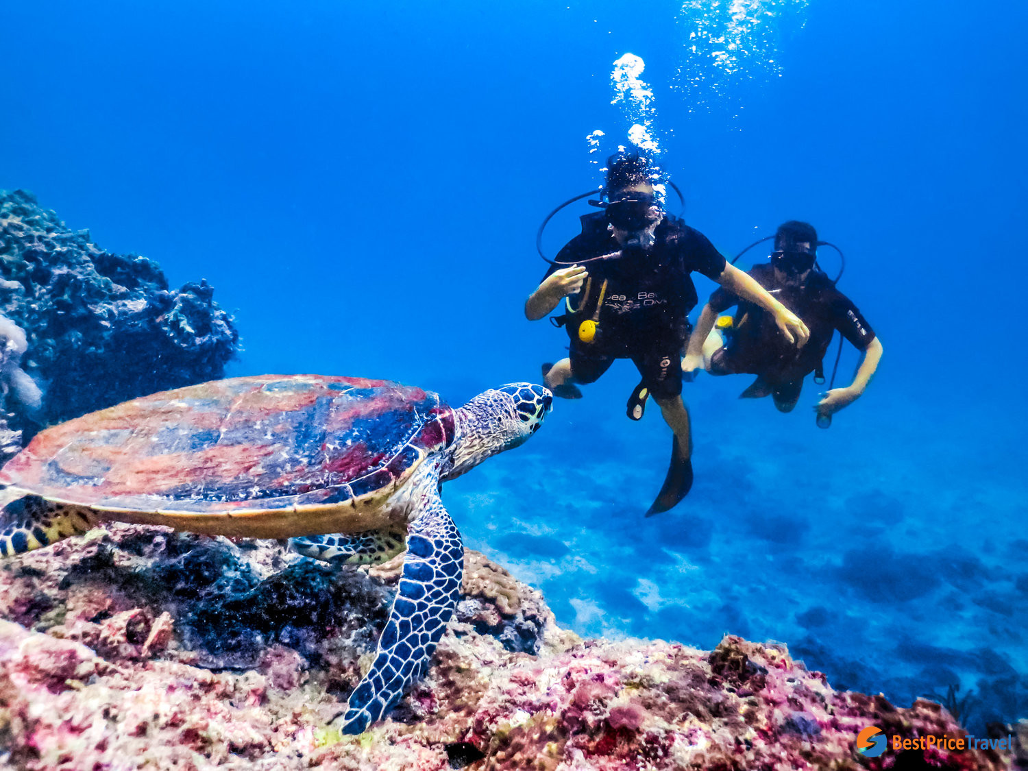 Scuba diving in Phi Phi Islands