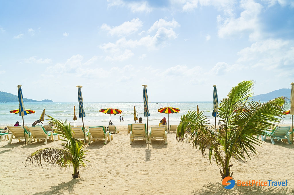 Palm trees at Patong Beach