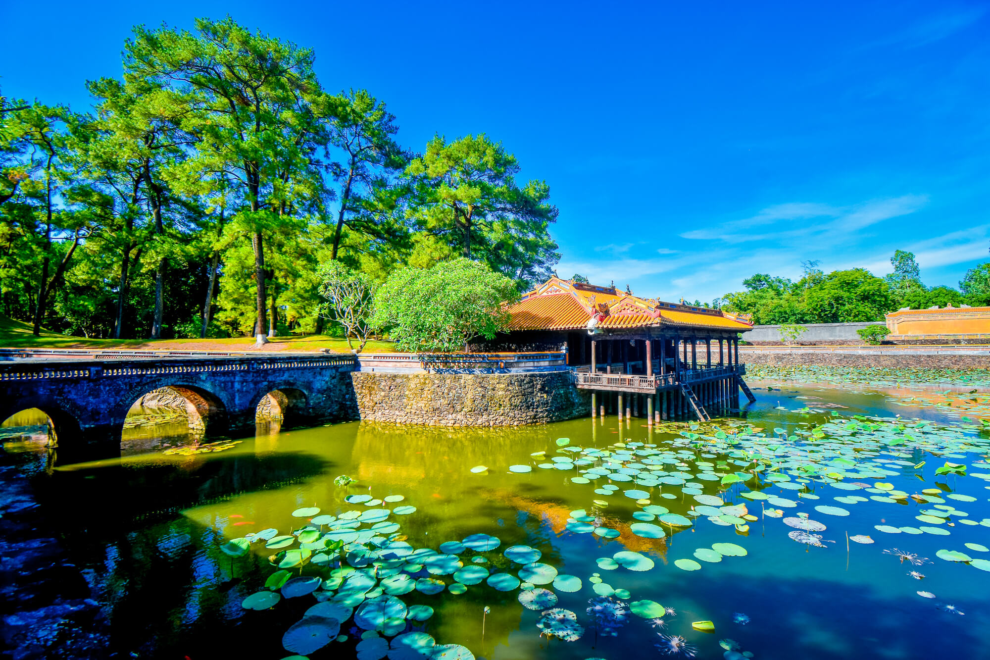 Lotus lake around Tu Duc Tomb