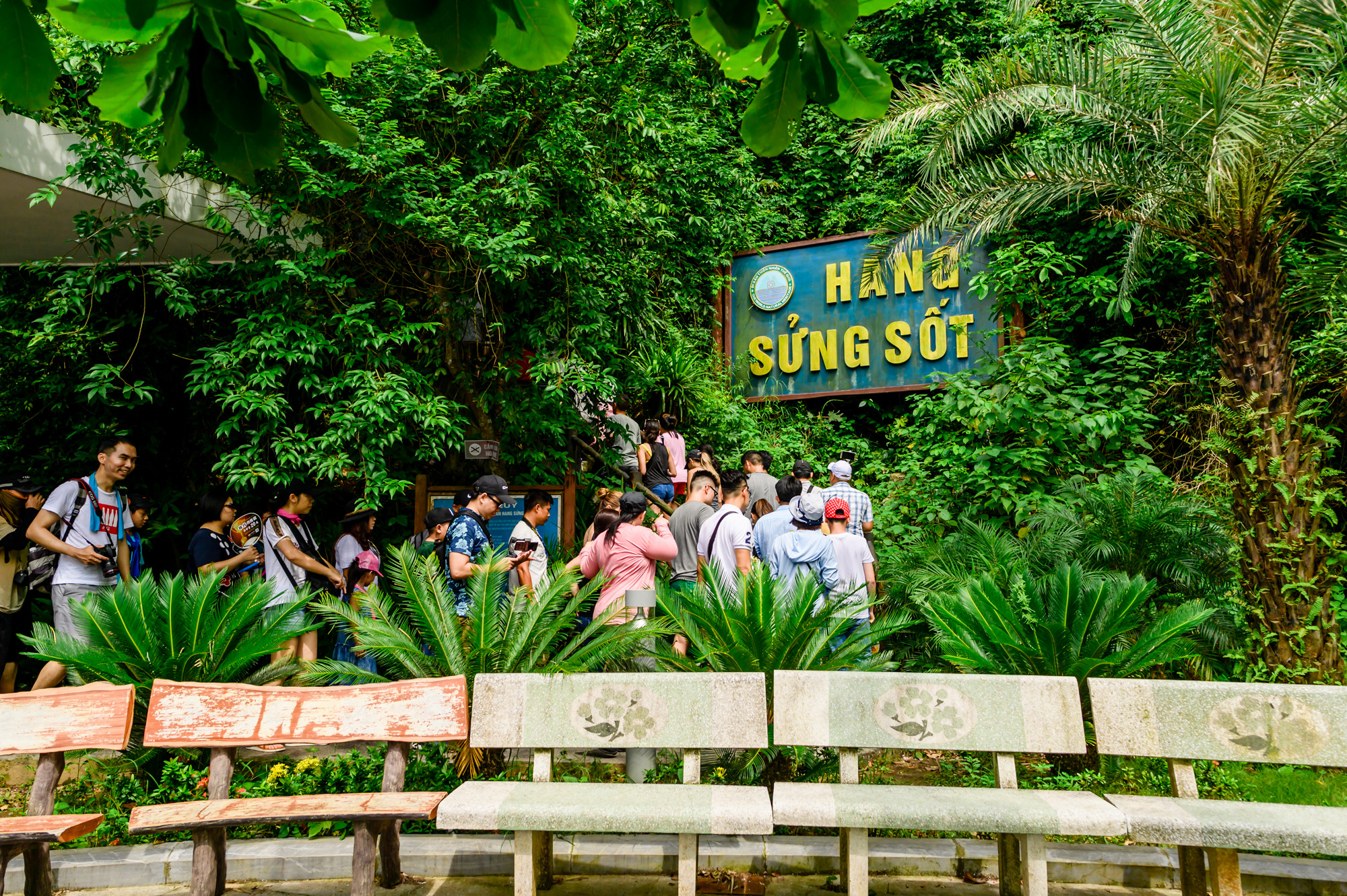 Sung Sot Cave in Halong Bay