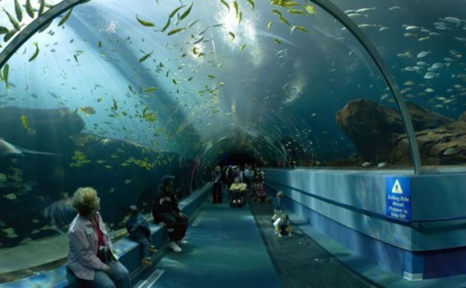 Tri Nguyen Aquarium
