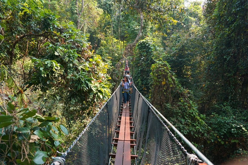 Chiang Rai Tree Top Adventure Park 04