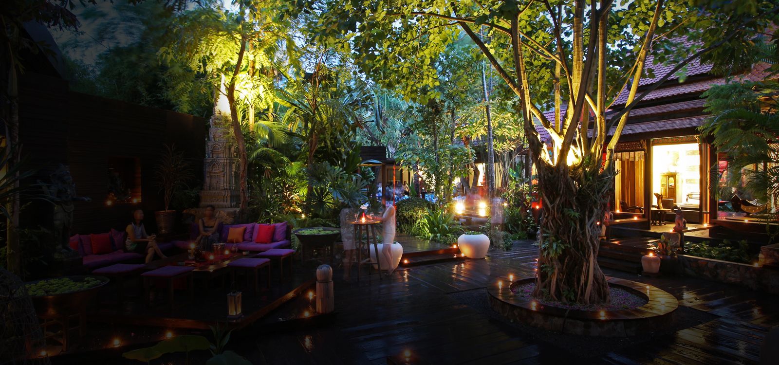 Theam's house garden