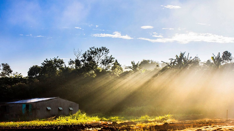 The Best Time To Visit Pleiku Is In The Dry Season