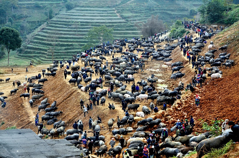 Buffalo Trading Area