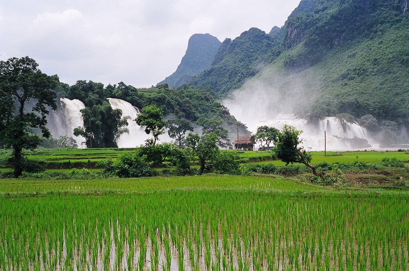 Ban Gioc Waterfall In Rainy Season