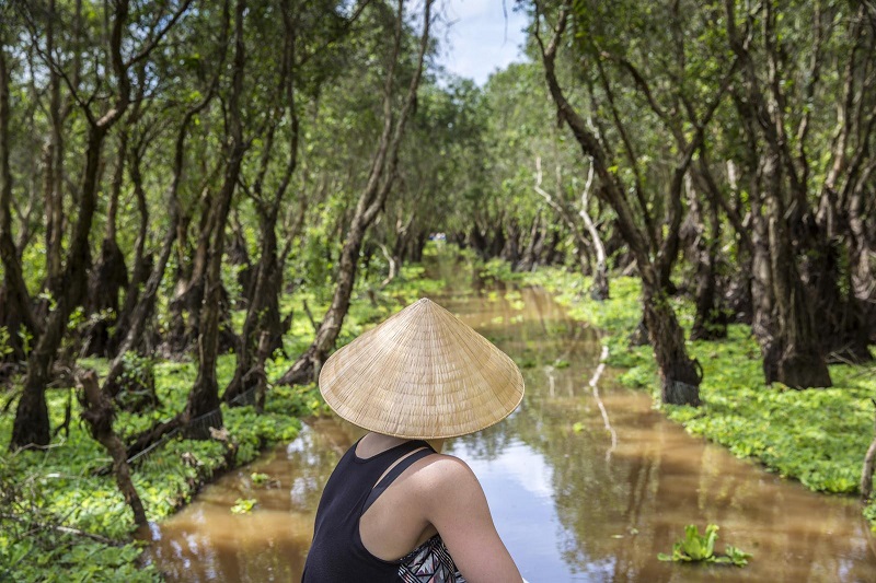 Diverse Ecosystems In Mekong River